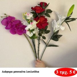 ΠΑΚΕΤΟ ΜΕ 3 τμχ. Διάφορα  λουλούδια