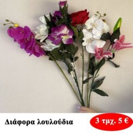 ΠΑΚΕΤΟ ΜΕ 3 τμχ. Διάφορα  λουλούδια