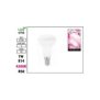 2148 ΛΑΜΠΑ LED R50 E14 7W 4200K