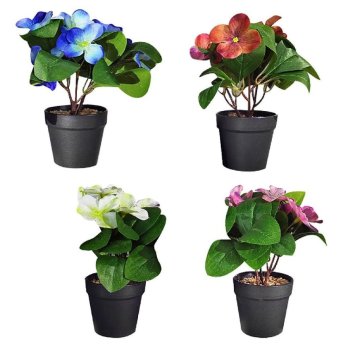 22-3016 ΠΑΚΕΤΟ ΜΕ 12 ΤΜΧ. Γλαστράκι Μαύρο Πλαστικό με Χώμα και Λουλούδι Ανοιχτά Φύλλα 22x8cm