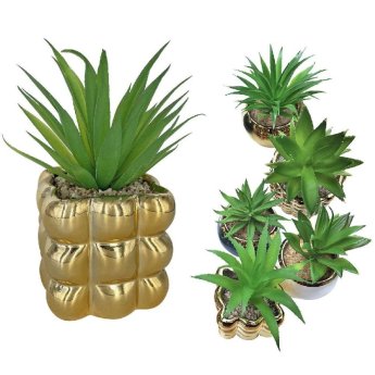 22-3020 ΠΑΚΕΤΟ ΜΕ 6 ΤΜΧ. Γλάστρα Πορσελάνης Τετράγωνη Χρυσή με Φυτό 14x7.5cm