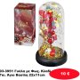93-3951 Γυάλα με Φως. Κλαδί Γκι. Άγιο Βασίλη 22x11cm