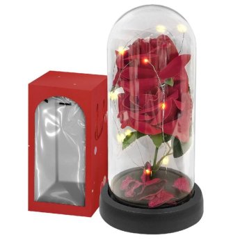 3-2350 Τριαντάφυλλο σε Γυάλα με φως 22x11cm