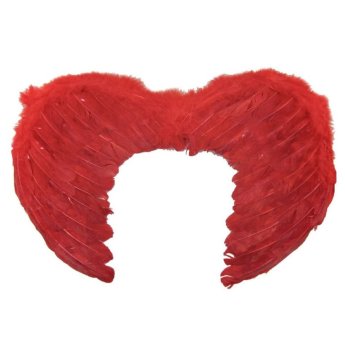 3-402 Φτερά Διαβόλου 45x35cm