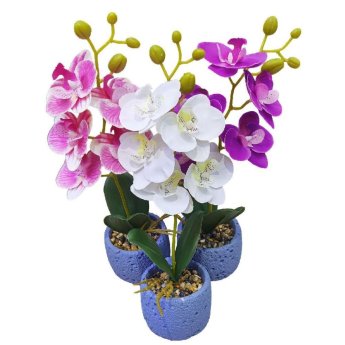 22-3102 ΠΑΚΕΤΟ ΜΕ 6 ΤΜΧ. Γλαστράκι Ορχιδέες με Χώμα  -  Βότσαλα 34cm