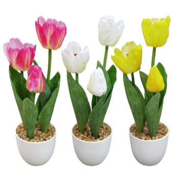 22-3103 ΠΑΚΕΤΟ ΜΕ 6 ΤΜΧ. Γλαστράκι 3 Τουλίπες 34cm