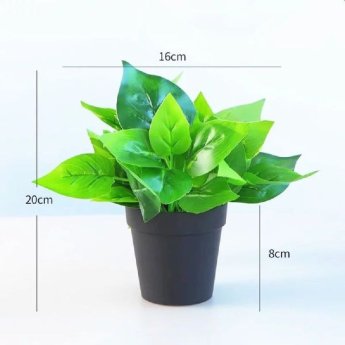 38128 ΛΟΥΛΟΥΔΙ ΣΕ ΒΑΖΟ