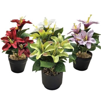 22-3111 ΠΑΚΕΤΟ ΜΕ 12 ΤΜΧ. Γλαστράκι Μαύρο με Κρίνους 20x o7.5cm