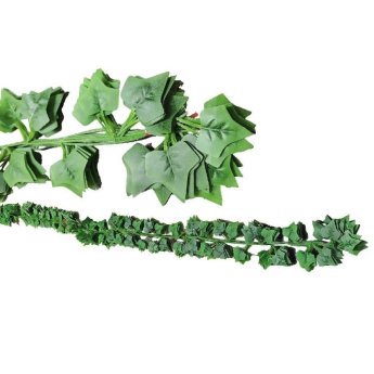 22-3025 Κισσός Αναρριχώμενος σετ-12x2.1cm 12 τεμ x 2.1m