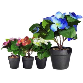 22-3016 ΠΑΚΕΤΟ ΜΕ 12 ΤΜΧ. Γλαστράκι Μαύρο Πλαστικό με Χώμα KAI Λουλούδι Ανοιχτά Φύλλα 22x8cm