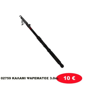 02759 ΚΑΛΑΜΙ ΨΑΡΕΜΑΤΟΣ 3.0m.