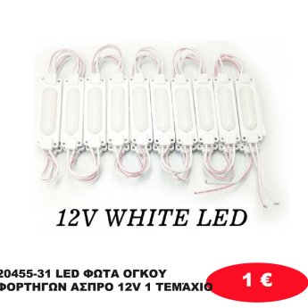20455-31 LED ΦΩΤΑ ΟΓΚΟΥ ΦΟΡΤΗΓΩΝ ΑΣΠΡΟ 12V